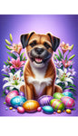 Border Terrier -  Best of Breed DCR Easter Holiday    Outdoor House and Garden Flag