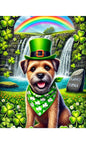 Border Terrier -  Best of Breed DCR Saint Patricks Day Day Outdoor House and Garden Flag