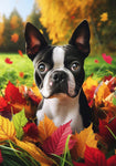 Boston Terrier - Best of Breed DCR Falling Leaves Outdoor Flag