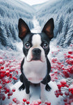 Boston Terrier - Best of Breed DCR Winter Berries Outdoor House and Garden Flag