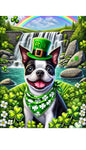 Boston Terrier - Best of Breed DCR Saint Patricks Day Day Outdoor House and Garden Flag