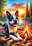 Boston Terrier - Best of Breed DCR Summer Camping   Outdoor House and Garden Flag