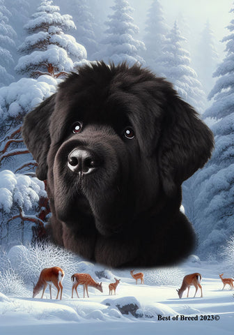 Bouvier Black - Best of Breed  Winter Wonderland Outdoor House and Garden Flag