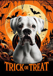 Boxer White Uncropped - Best of Breed  Halloween Outdoor House and Garden Flag