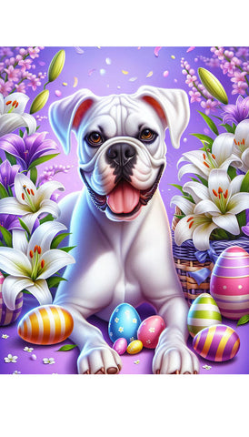 Boxer White Uncropped - Best of Breed DCR Easter Holiday    Outdoor House and Garden Flag