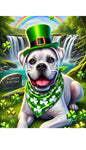 Boxer White Uncropped - Best of Breed DCR Saint Patricks Day Day Outdoor House and Garden Flag