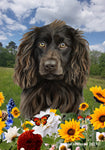 Boykin Spaniel - Best of Breed  Summer Fields Outdoor House and Garden Flag