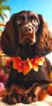 Boykin Spaniel  - Best of Breed DCR 100% Poly Velour Micro Fiber Beach Towel Quick Dry 30" x 60"