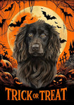 Boykin Spaniel - Best of Breed  Halloween Outdoor House and Garden Flag