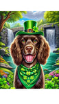 Boykin Spaniel - Best of Breed DCR Saint Patricks Day Day Outdoor House and Garden Flag