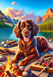Boykin Spaniel - Best of Breed DCR Summer Camping   Outdoor House and Garden Flag