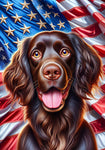 Boykin Spaniel - Best of Breed DCR Patriotic III   Outdoor House and Garden Flag