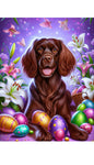 Boykin Spaniel - Best of Breed DCR Easter Holiday    Outdoor House and Garden Flag