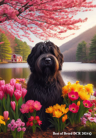 Briard Black -   Best of Breed DCR Spring House and Garden Flag