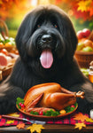 Briard Black - Best of Breed DCR Thanksgiving Outdoor House and Garden Flag