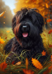 Briard Black - Best of Breed DCR Falling Leaves Outdoor Flag