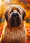 Briard Fawn - Best of Breed DCR Falling Leaves Outdoor Flag