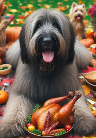 Briard Grey - Best of Breed DCR Thanksgiving Outdoor House and Garden Flag