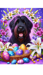 Briard Black - Best of Breed DCR Easter Holiday    Outdoor House and Garden Flag