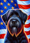 Briard Black - Best of Breed DCR Patriotic III   Outdoor House and Garden Flag