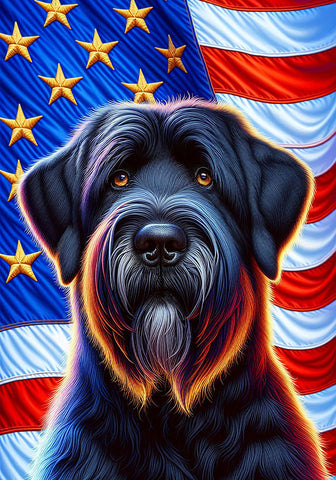 Briard Black - Best of Breed DCR Patriotic III   Outdoor House and Garden Flag