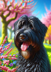 Briard Black - Best of Breed DCR Spring II    Outdoor House and Garden Flag