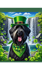 Briard Black - Best of Breed DCR Saint Patricks Day Day Outdoor House and Garden Flag