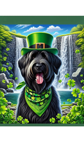 Briard Black - Best of Breed DCR Saint Patricks Day Day Outdoor House and Garden Flag