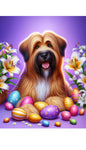 Briard Fawn - Best of Breed DCR Easter Holiday    Outdoor House and Garden Flag