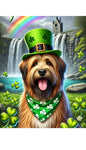 Briard Fawn - Best of Breed DCR Saint Patricks Day Day Outdoor House and Garden Flag