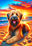 Briard Fawn - Best of Breed DCR Summer Sunset Outdoor House and Garden Flag
