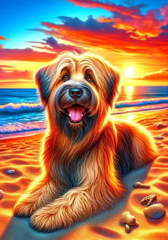 Briard Fawn - Best of Breed DCR Summer Sunset Outdoor House and Garden Flag