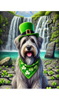 Briard Grey - Best of Breed DCR Saint Patricks Day Day Outdoor House and Garden Flag