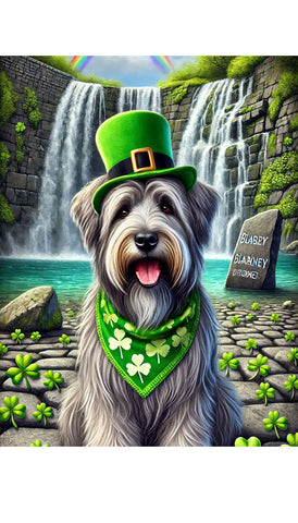 Briard Grey - Best of Breed DCR Saint Patricks Day Day Outdoor House and Garden Flag