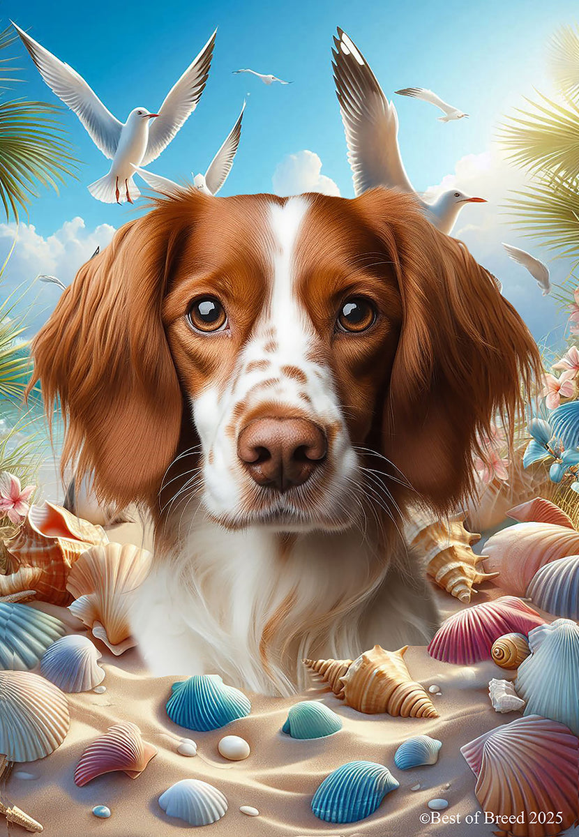 Brittany Spaniel - Best of Breed Summer Beach Outdoor House and Garden