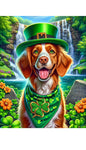 Brittany Spaniel - Best of Breed DCR Saint Patricks Day Day Outdoor House and Garden Flag