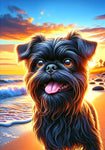 Brussells Griffon Black- Best of Breed DCR Summer Sunset Outdoor House and Garden Flag
