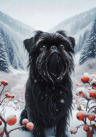 Brussells Griffon Black- Best of Breed DCR Winter Berries Outdoor House and Garden Flag