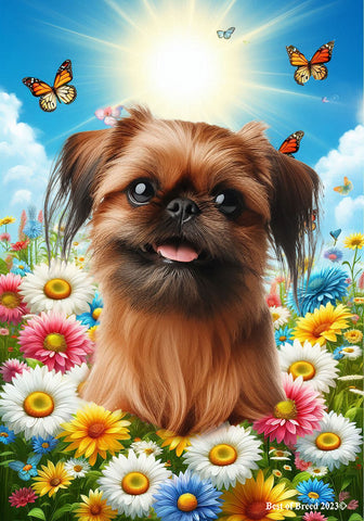Brussels Griffon - Best of Breed  Summer Butterflies Outdoor House and Garden Flag