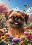 Brussels Griffon - Best of Breed  Spring Butterflies Outdoor House and Garden Flag