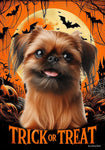 Brussels Griffon - Best of Breed  Halloween Outdoor House and Garden Flag