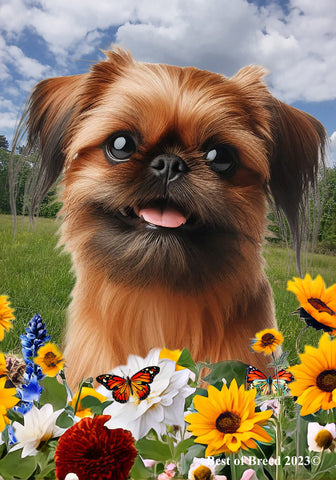 Brussels Griffon - Best of Breed  Summer Fields Outdoor House and Garden Flag