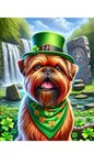 Brussells Griffon Tan - Best of Breed DCR Saint Patricks Day Day Outdoor House and Garden Flag