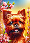 Brussells Griffon Red - Best of Breed DCR Spring II    Outdoor House and Garden Flag