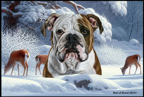 Bulldog - Best of Breed Winter Wonderland Floor Mat Tufted Loop 18" x 27"..