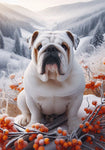 English Bulldog White - Best of Breed DCR Winter Berries Outdoor House and Garden Flag