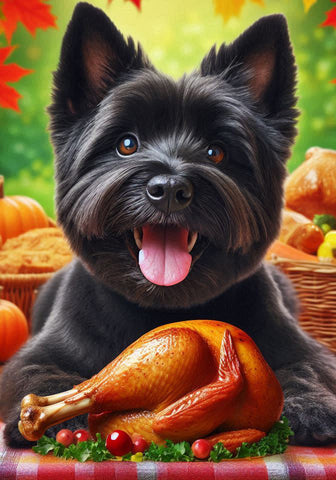 Cairn Terrier Black - Best of Breed DCR Thanksgiving Outdoor House and Garden Flag