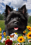 Cairn Terrier Black - Best of Breed  Summer Fields Outdoor House and Garden Flag