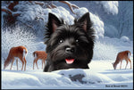 Cairn Terrier Black - Best of Breed Winter Wonderland Floor Mat Tufted Loop 18" x 27"