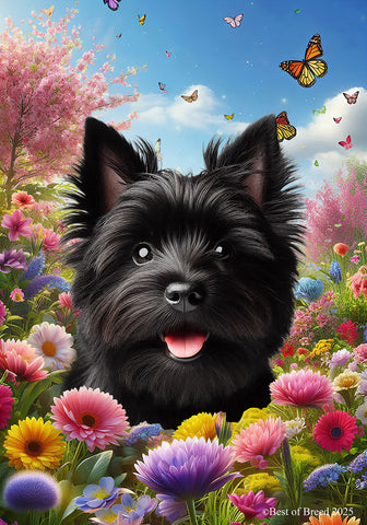 Cairn Terrier Black - Best of Breed  Spring Butterflies Outdoor House and Garden Flag